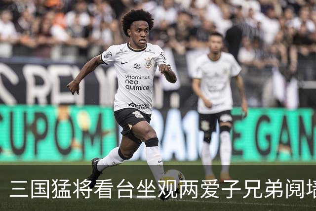 三国猛将看台坐观两爱子兄弟阋墙 弟弟更比哥哥强？