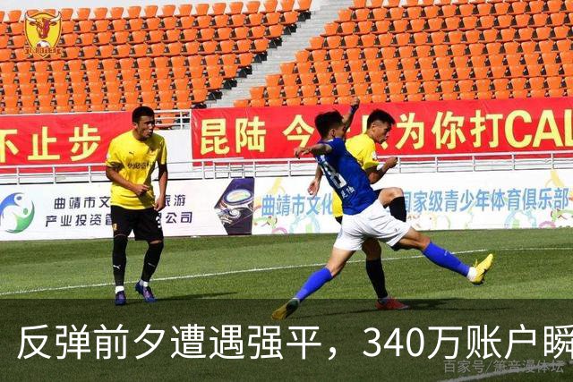 反弹前夕遭遇强平，340万账户瞬间清零，杠杆的代价有多沉重