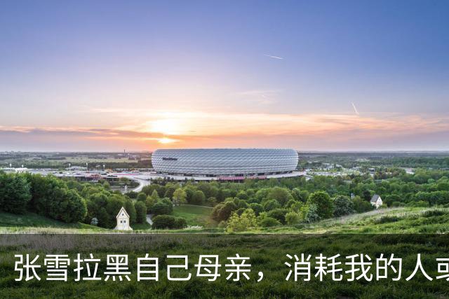 张雪拉黑自己母亲，消耗我的人或事会毫不犹豫砍掉；网友评论“妹妹从来不接受采访，一切都是为了哥哥好”，张雪回复：她很有分寸的