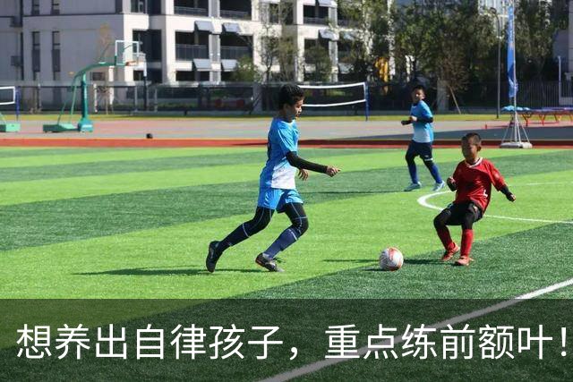 想养出自律孩子，重点练前额叶！每天4件小事，在家就能练！