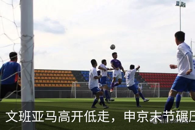 文班亚马高开低走，申京末节碾压马刺内线，火箭险胜卫冕亚军