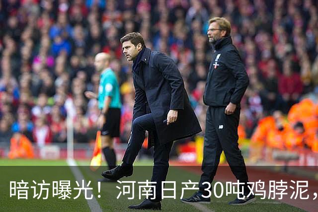 暗访曝光！河南日产30吨鸡脖泥，最后流向街头2元烤肠