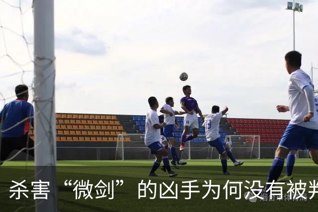 杀害“微剑”的凶手为何没有被判处死刑立即执行？！