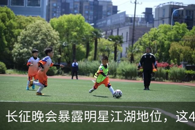 长征晚会暴露明星江湖地位，这4位明星能被央视邀请，身份不简单