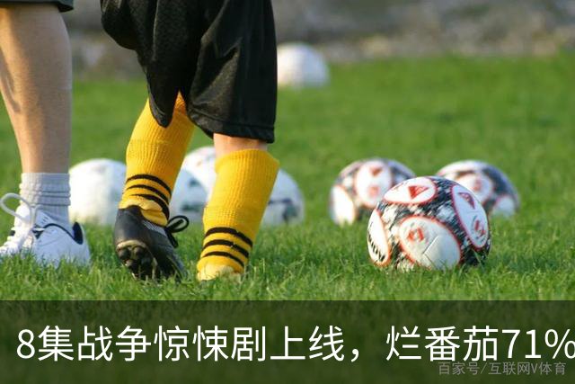 8集战争惊悚剧上线，烂番茄71%，主角原型是CIA特工