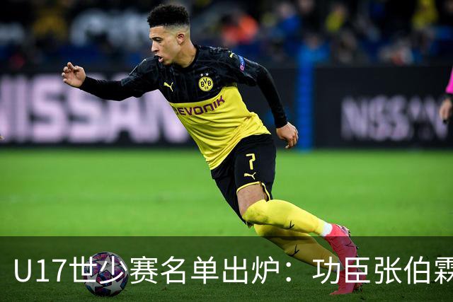 U17世少赛名单出炉：功臣张伯霖、谢晋与西甲梯队吕孟洋落选